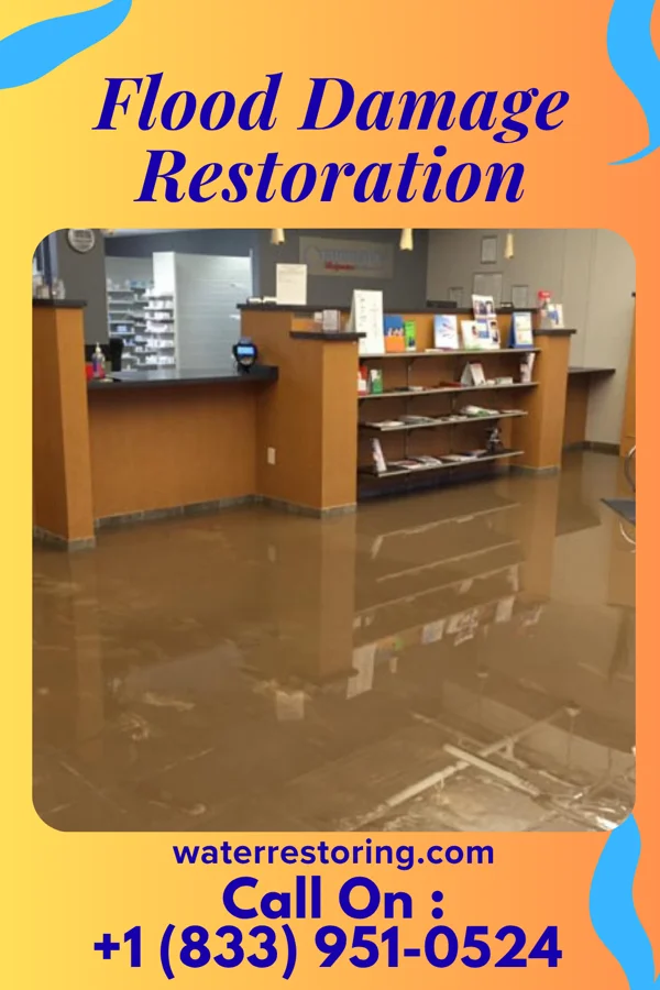 Flood Damage Restoration in Eastpointe, MI
