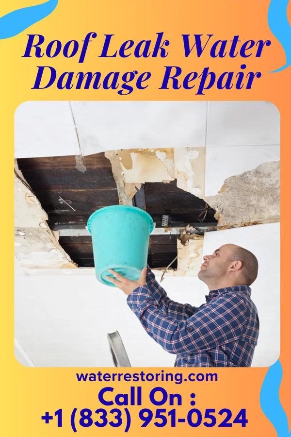 Roof Leak Water Damage Repair in Eastpointe, MI